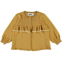 Overview image: Vest Molo