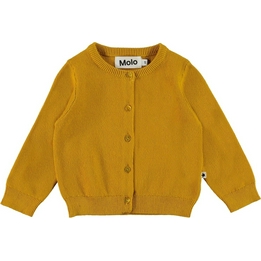 Overview image: Vest Molo