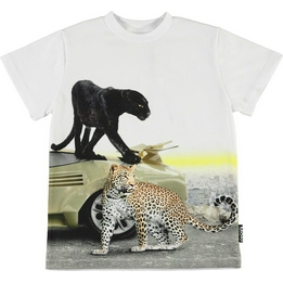 Overview image: T-shirt Molo