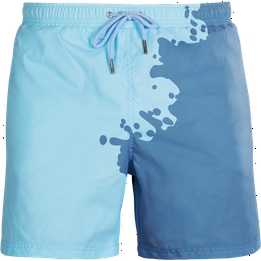 Overview image: Zwembroek Sea Sons
