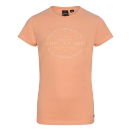 Overview image: T-shirt Indian Blue Jeans