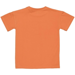 Overview second image: T-shirt Levv