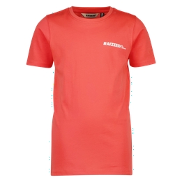 Overview image: T-shirt Raizzed