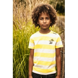 Overview image: T-shirt Common Heroes