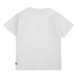 Overview second image: T-shirt Daily7