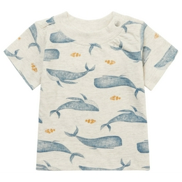 Overview image: T-shirt Noppies
