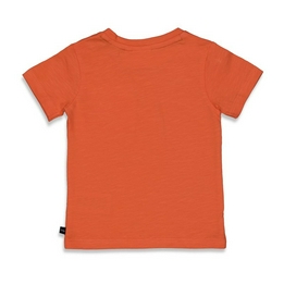 Overview second image: T-shirt Feetje