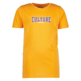 Overview image: T-shirt Raizzed