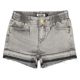 Overview image: Korte broek Raizzed
