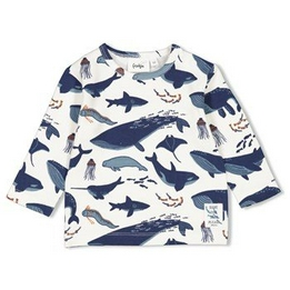 Overview image: Shirt Feetje