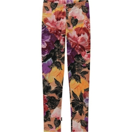 Overview image: Legging Molo